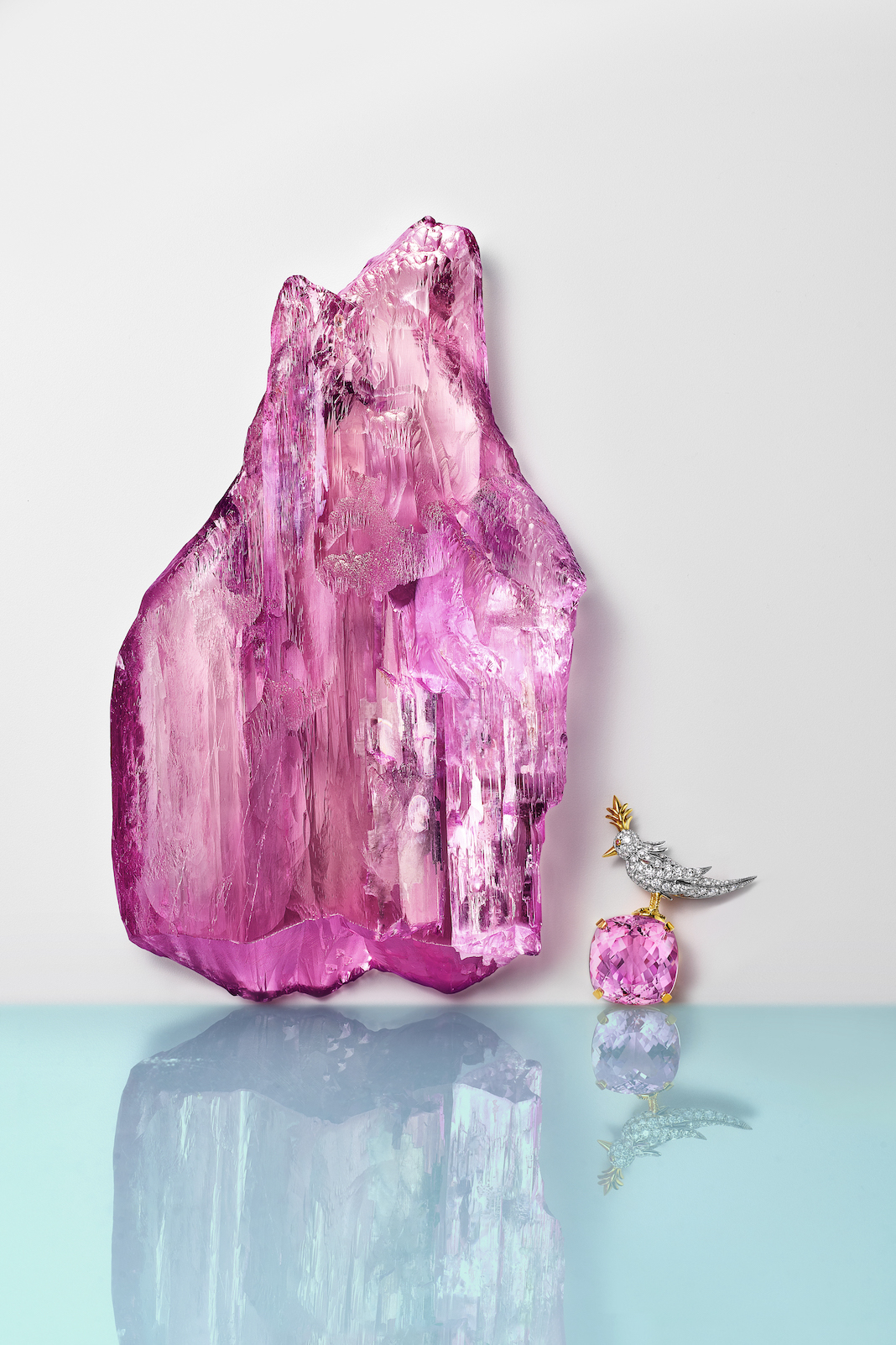 蒂芙尼购入逾7500克拉紫锂辉石，打造“石上鸟”胸针60周年限量作品 礼赞品牌探寻非凡宝石的悠久传统